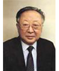 魏启后